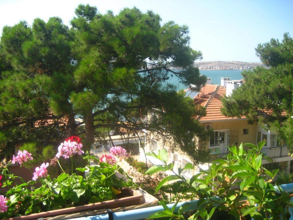 ホテル Mavi Pension Ayvalı エクステリア 写真